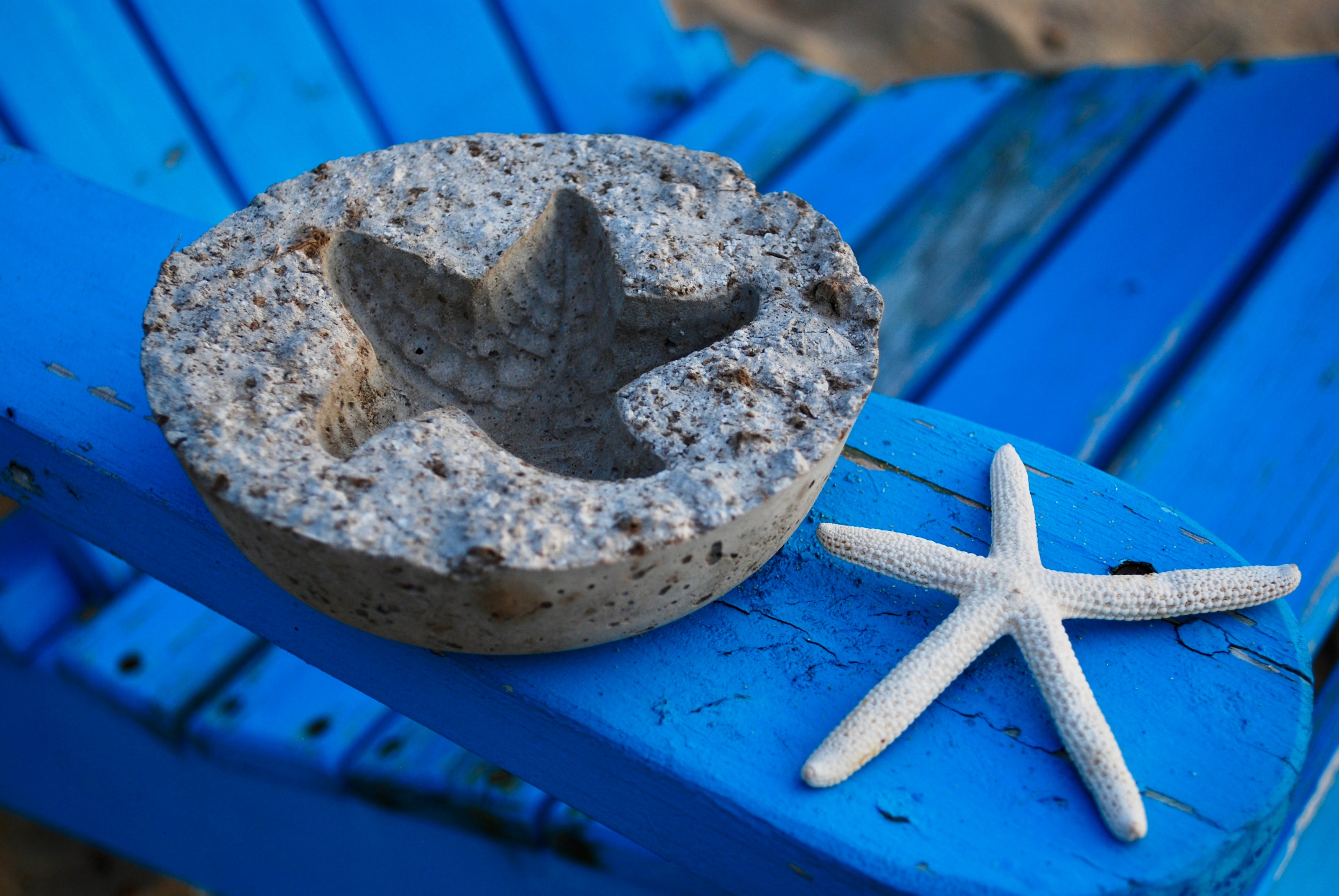 Concrete mold shaped like a starfish on a blue surface with a real starfish beside it.