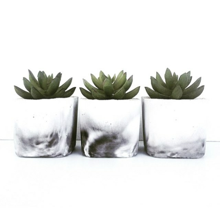 Three white marble-textured planters with succulents on a white background