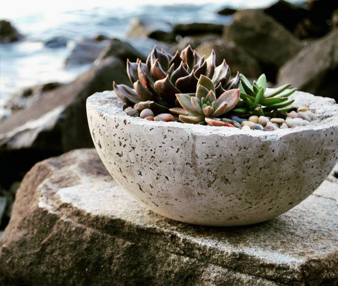 Concrete bowl with succulents on a rocky surface near water