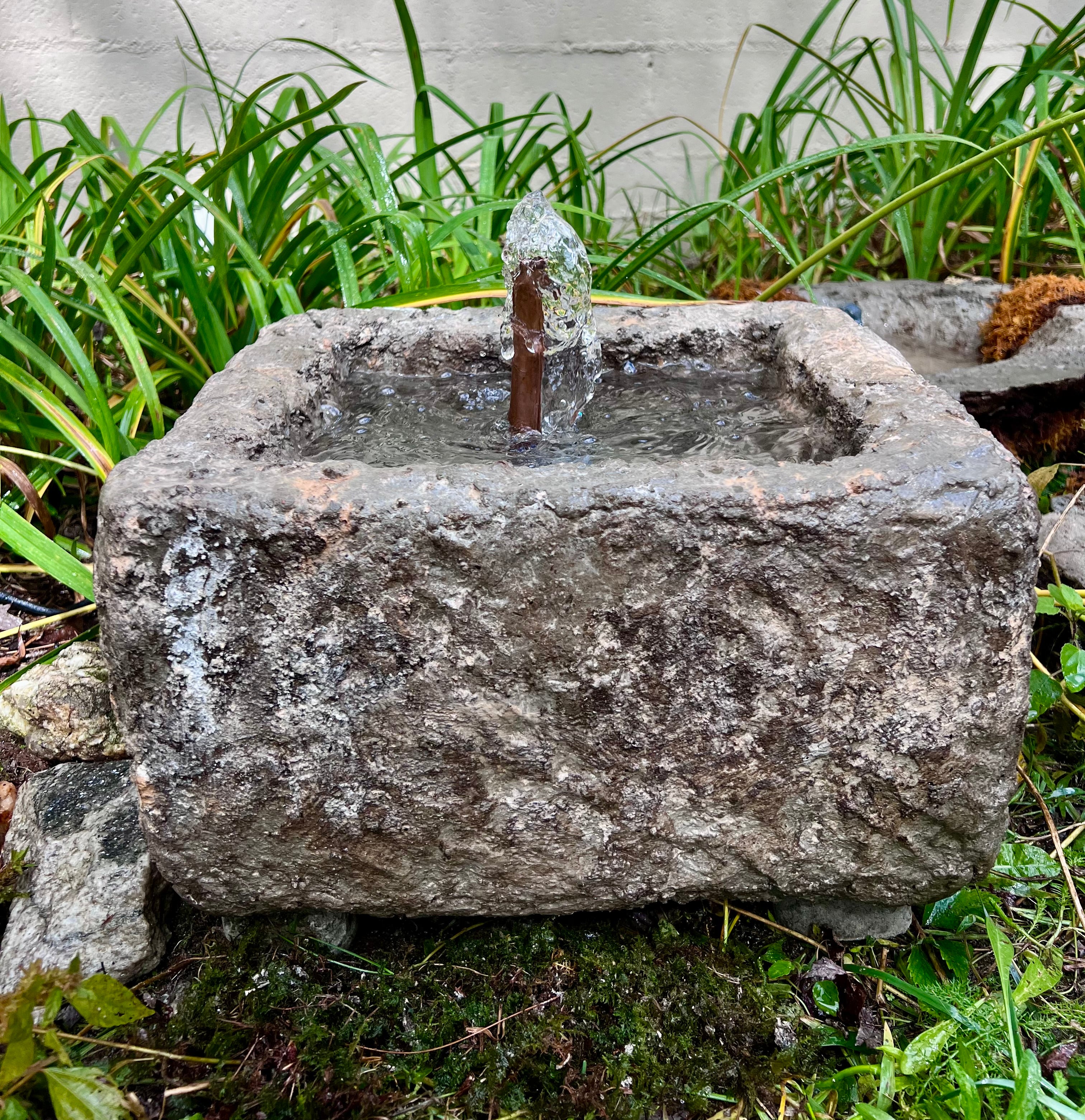 Stone fountain with water feature surrounded by greenery
