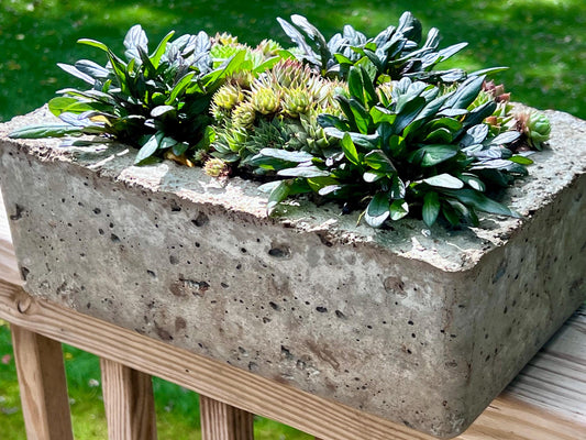 Concrete planter with green plants on a wooden deck