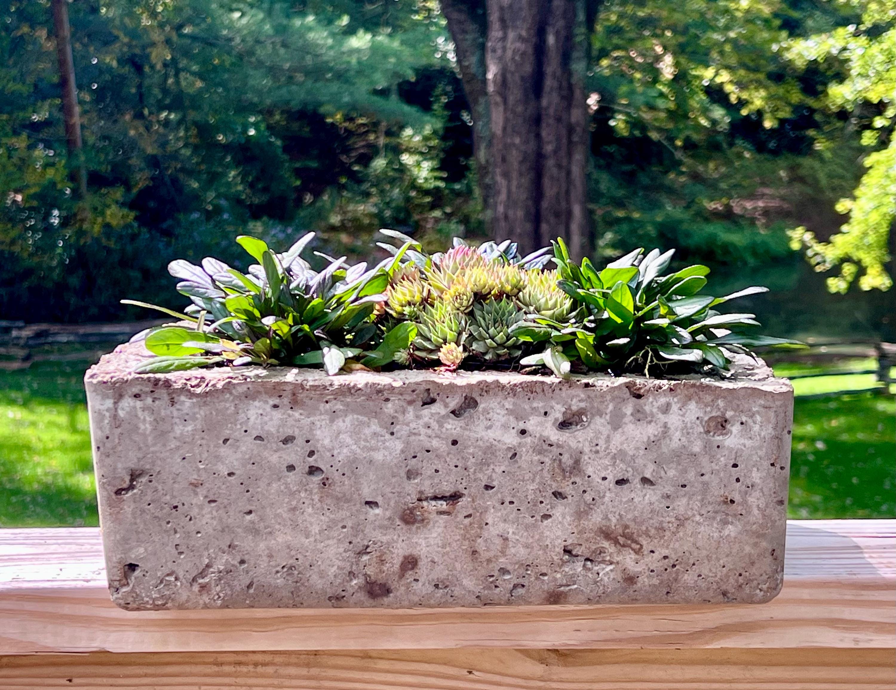 Concrete planter with plants on a wooden surface outdoors