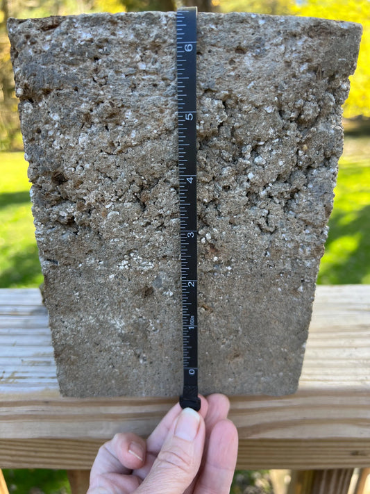 Concrete block with a ruler for scale against a natural background