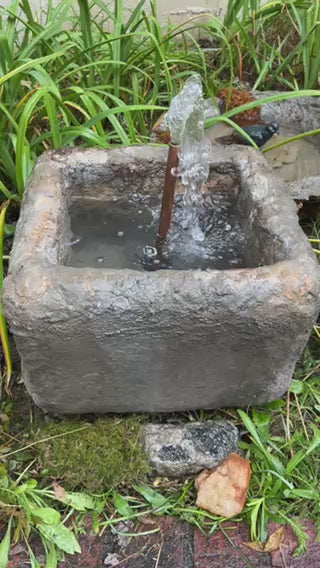 Stone fountain with water feature surrounded by greenery